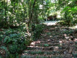 Thumbnail of post image 168