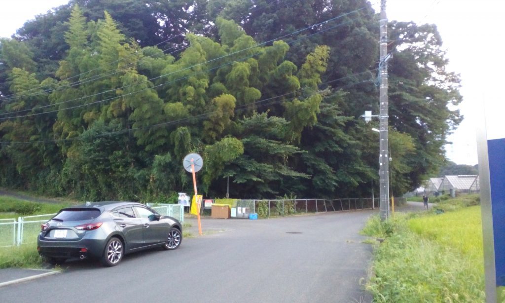 金剛寺跡