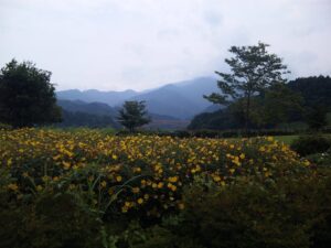 Thumbnail of post image 024