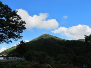 Thumbnail of post image 107