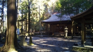 Thumbnail of post image 163