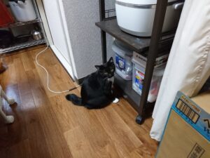 しーちゃん
