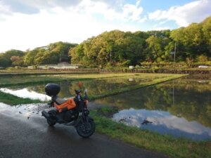 寺家ふるさと村近辺