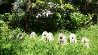 真福寺跡