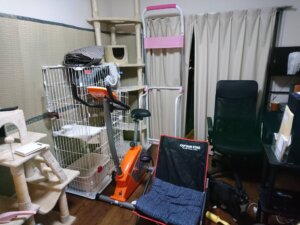 新在宅勤務環境（笑）