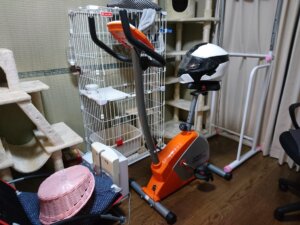 在宅ツーリング用マシン