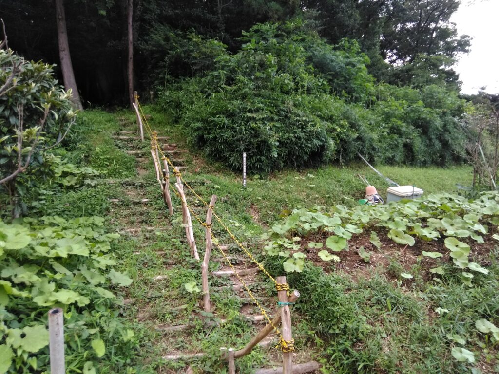 白山神社