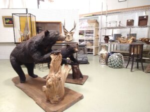 道の駅しもべの何だかよくわからない展示スペース