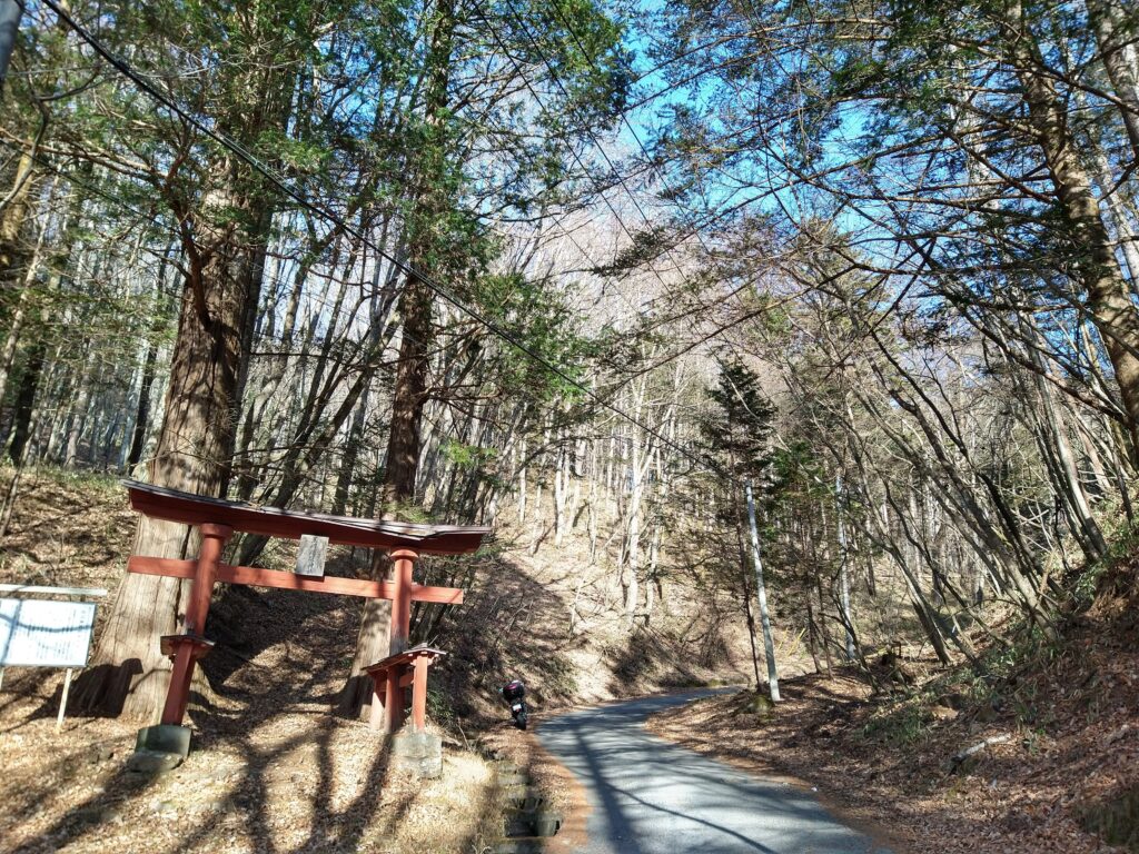 鳥居とそばに立つ大サワラ（市の指定文化財）。