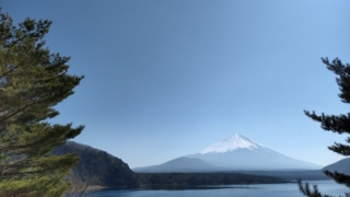 本栖みちから本栖湖越しの富士山。何度見ても最高。