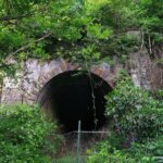 富浜第一隧道西口。鬱蒼とした茂みの中で、毛虫との戦い。