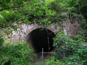 富浜第一隧道西口。鬱蒼とした茂みの中で、毛虫との戦い。