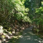 林道湯之奥猪之頭線。木陰が多くて涼しいので大好き。