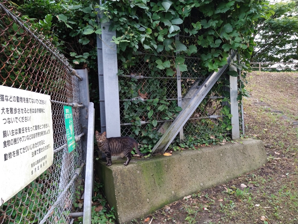 最初は警戒していましたが、頼んだからなんかこっち向いてくれました。