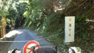Thumbnail of post image 103