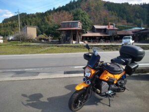 暫定エースのナビちゃま