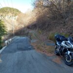右側の彼はびっしりの道が参道に続いています。