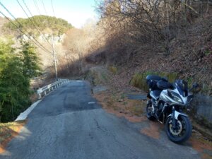 右側の彼はびっしりの道が参道に続いています。