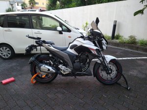 よしよし。可愛さ抜群。