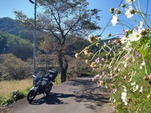 FZS25納車後初ツーリング！