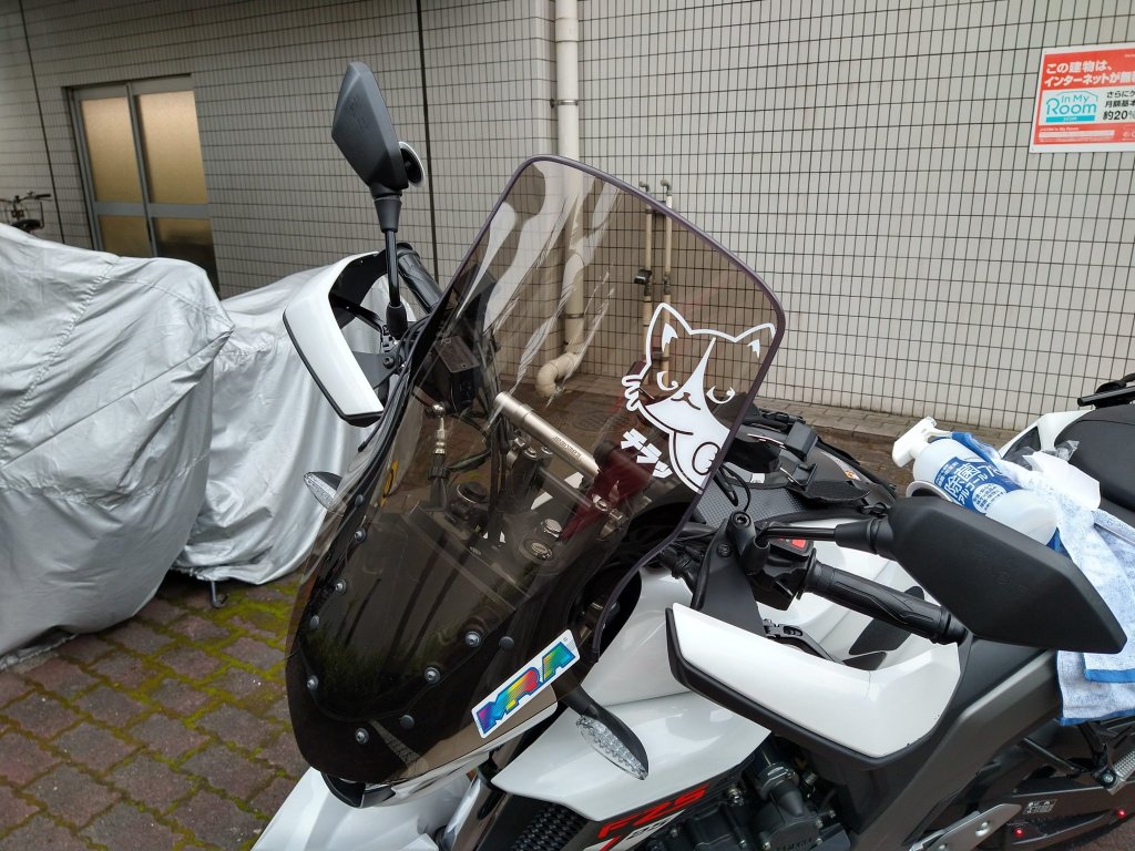 ひょっこりハチワレ猫さん。