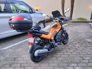宅のナビちゃま