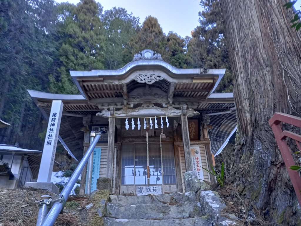 ２本目の階段を登り切ると正面に社殿がありました。立派！