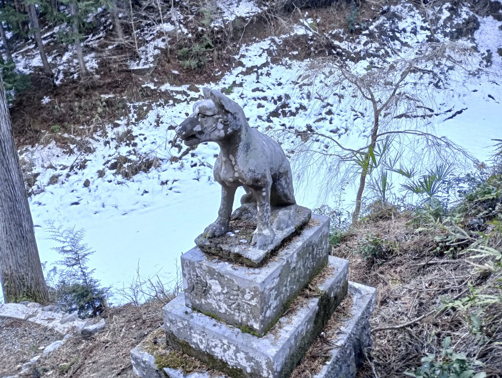 狛犬。優しそう。