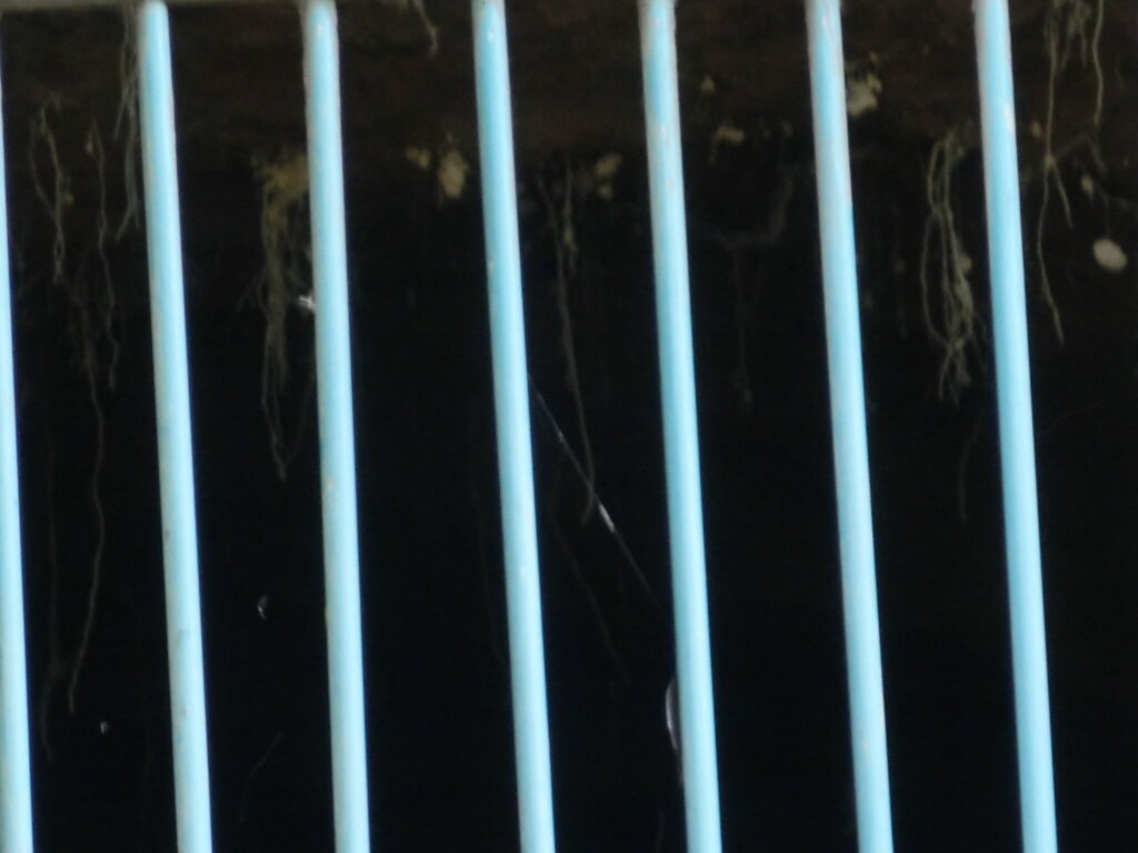 地下壕を手持ちのコンデジでズームして撮ってみたけど…無念！