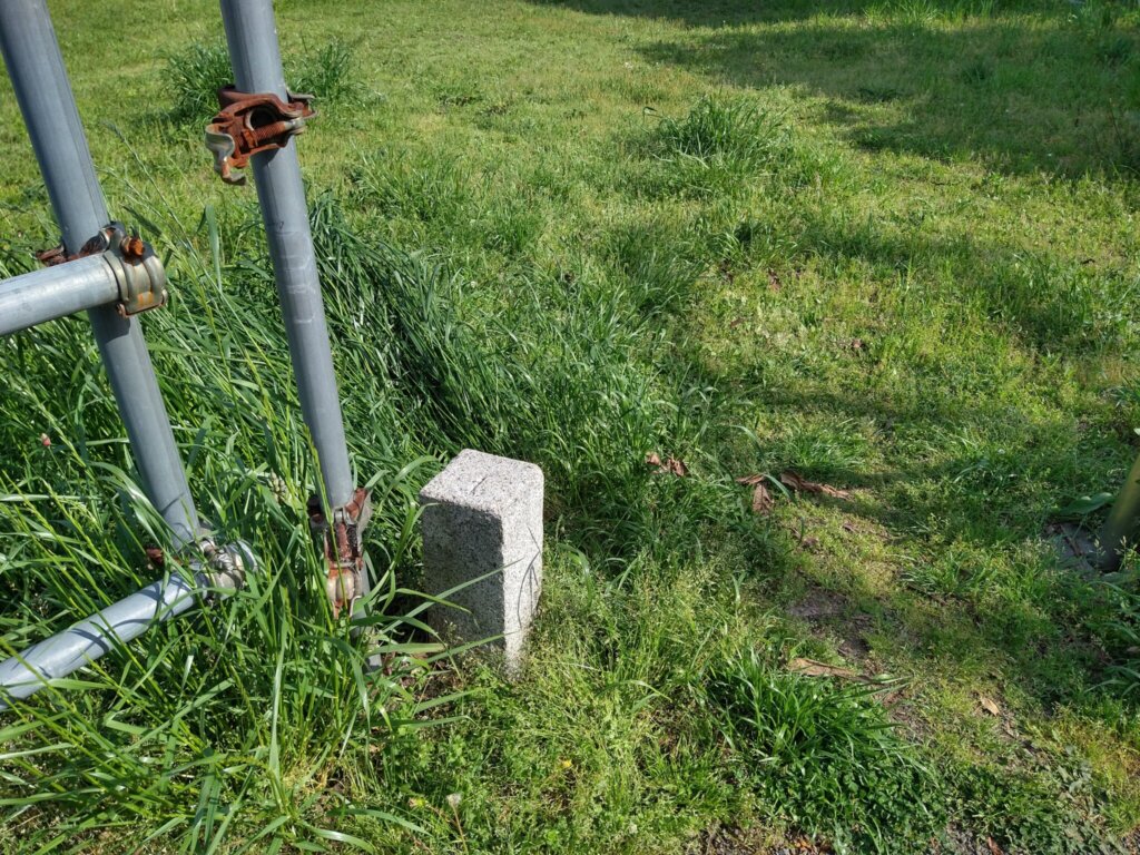 なんか雑草に埋まる感じで、見落としてしまいそう。