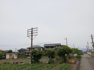 畑の中に発見！鉄道通信線の支持木柱です！