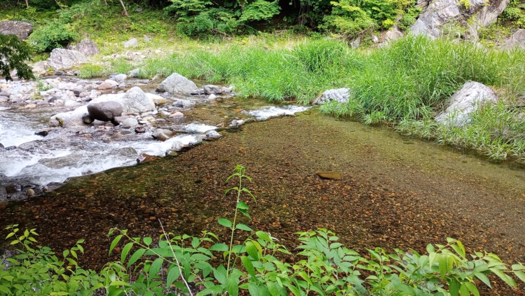 水がきれいなので川底もスケスケ！魚も見えそう。