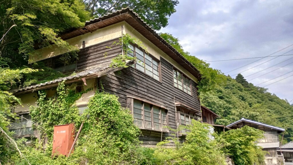 特に手入れされているわけではないと思うのですが、きれいなままの姿です。