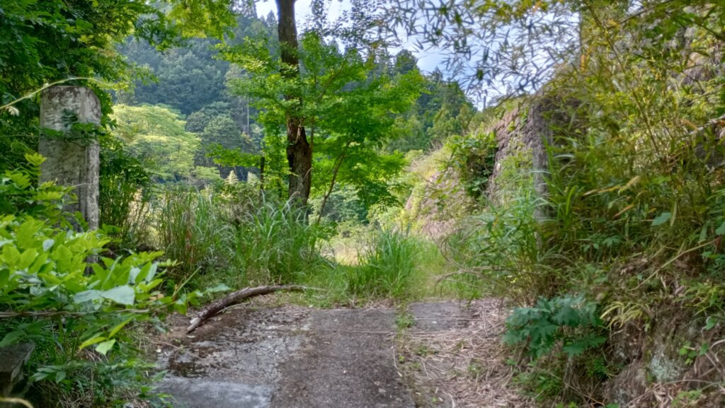 校門跡。なんか雑草が生い茂ってて、人が出入りしている気配がない…。