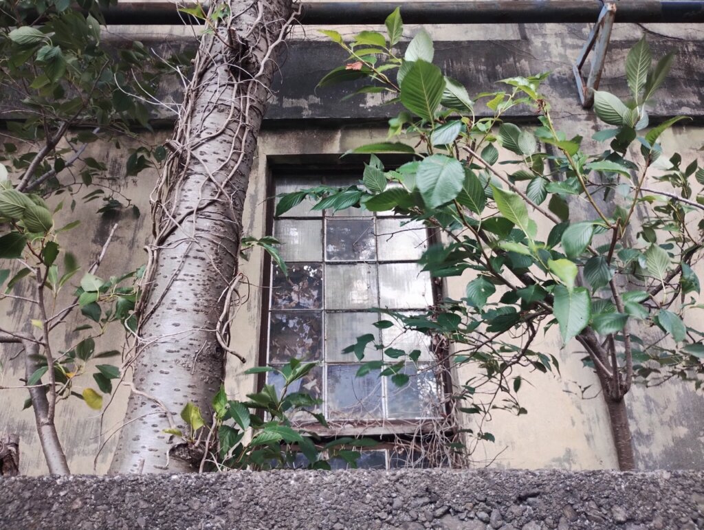 ヤバい