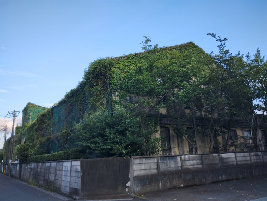 ヤバすぎる。素敵すぎる。