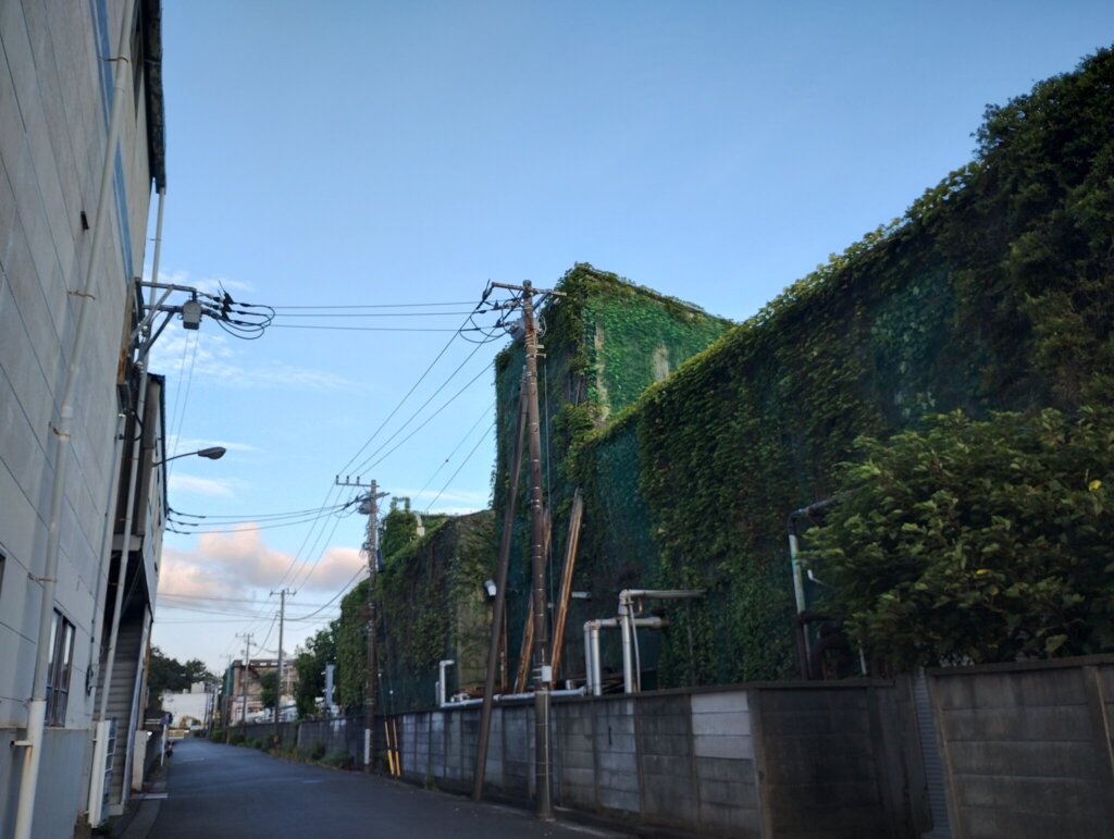 建物全体が緑で覆われていました。