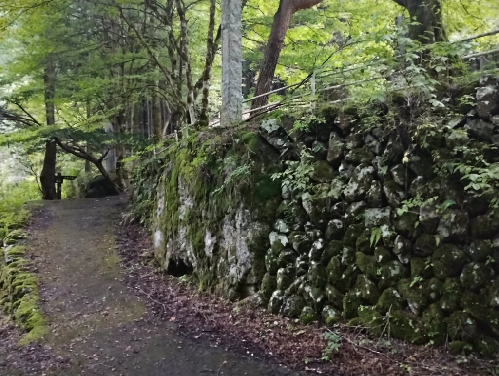 校庭へ繋がる道