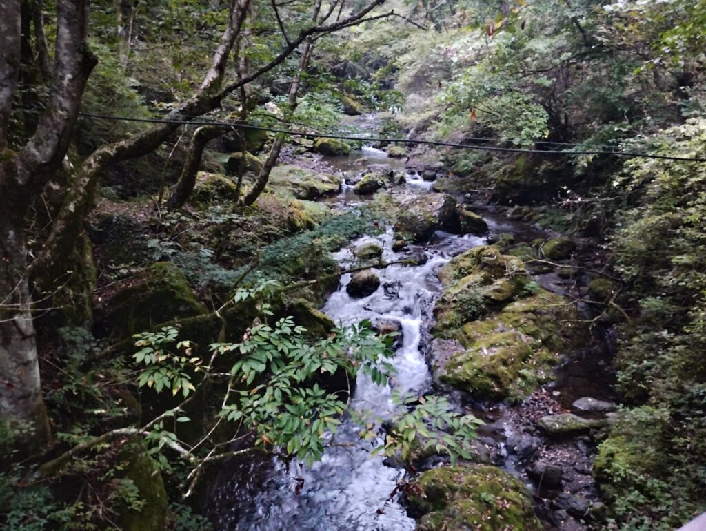 きれいな川にかかった橋を渡って敷地内へ